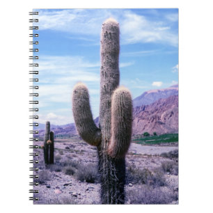Cactus in Jujuy Province - Northern Argentina Notebook
