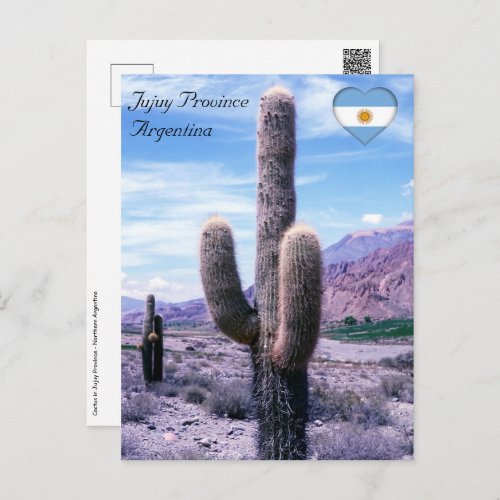 Cactus in Jujuy Province _ Northern Argentina Postcard