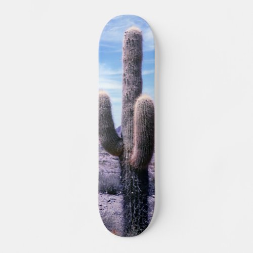 Cactus in Jujuy Province _ Northern Argentina Skateboard