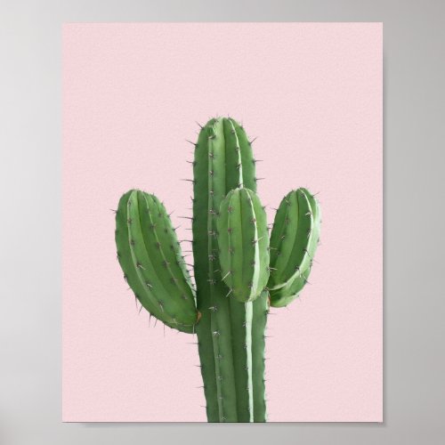 Cactus in Pink Poster