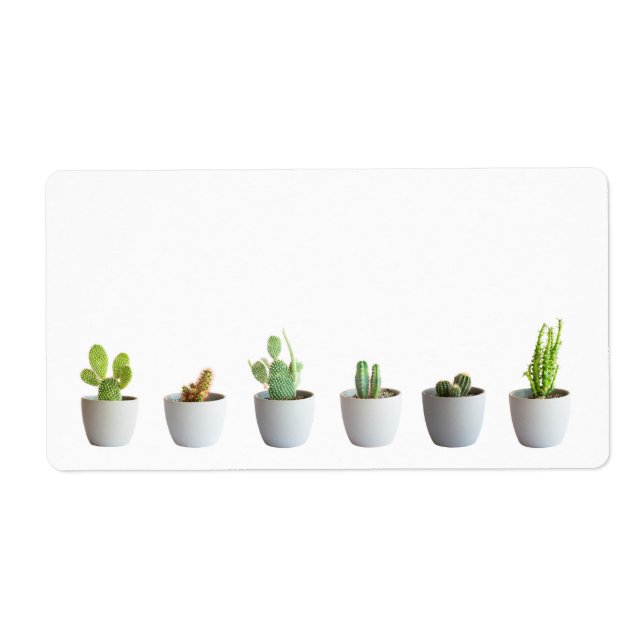 Cactus in pots label (Front)