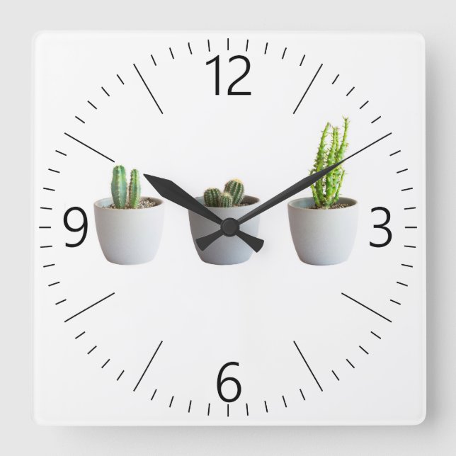 Cactus in pots square wall clock (Front)