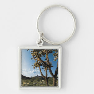 Cactus in Saguaro National Park , Arizona Keychain