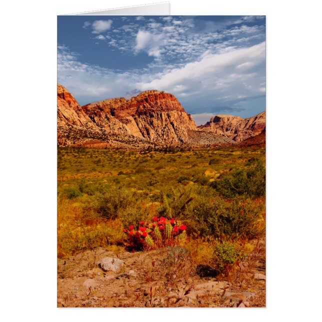 Cactus in the Desert, Southwest, Blank Inside Cards (Front)