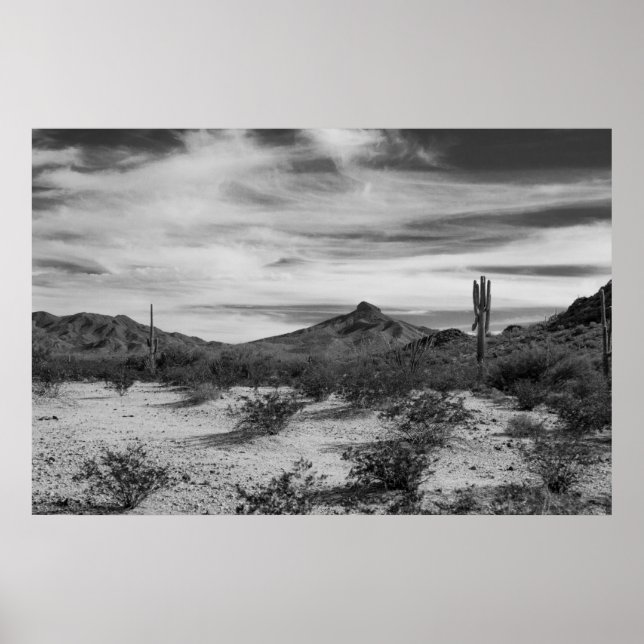 Cactus in white sands poster (Front)