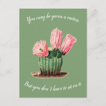 Cactus Inspirational Postcard by everydaylovers at Zazzle