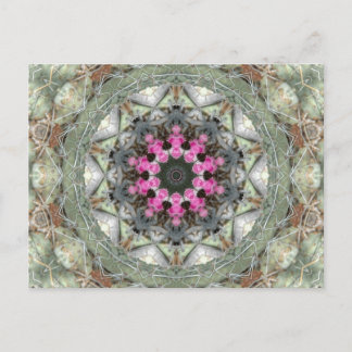 Cactus Kaleidoscope Postcard