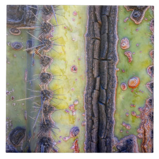 Cactus Macro Ceramic Tile