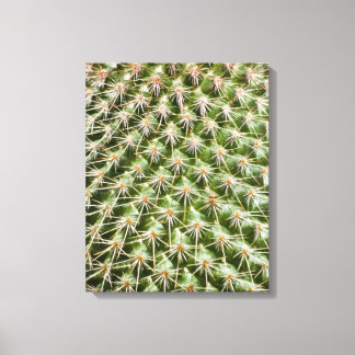 Cactus Macro Photography Canvas Print