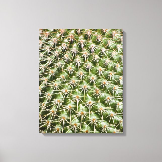 Cactus Macro Photography Canvas Print (Front)