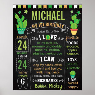 Cactus Mexican Fiesta Birthday board Poster