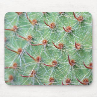 cactus mouse pad