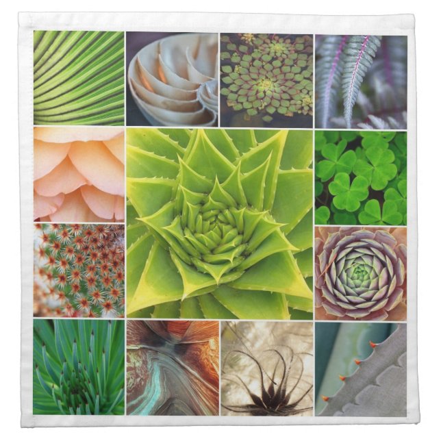 Cactus Napkins (Front)