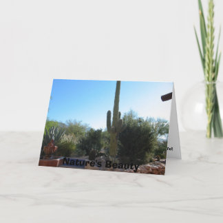Cactus, Nature's Beauty Card