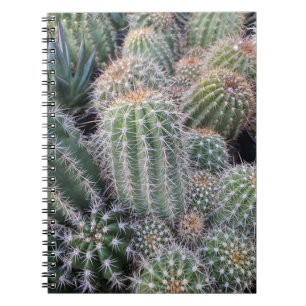 Cactus Notebook