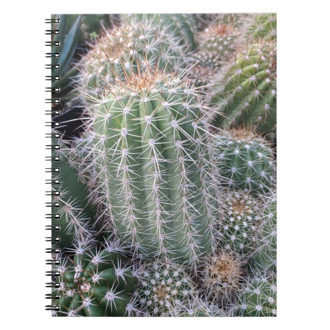 Cactus Notebook (Front)