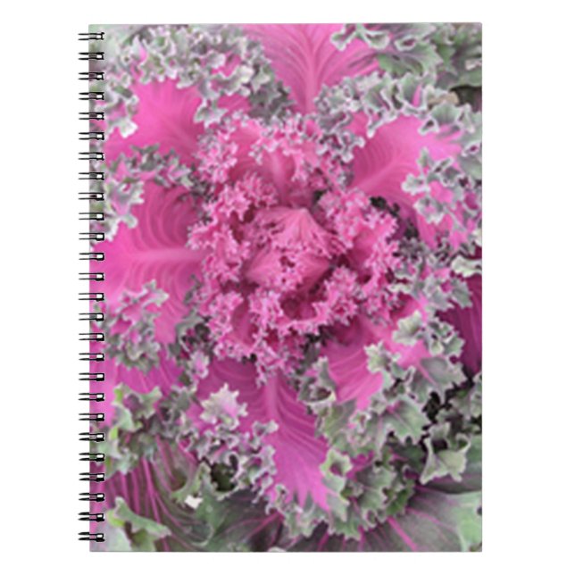 Cactus Notebook (Front)