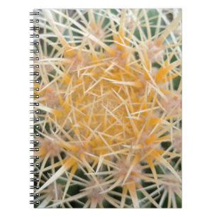 Cactus Notebook