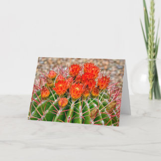 Cactus Notecard - Blooms of Arizona