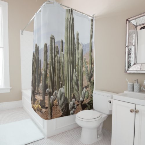 Cactus Oasis 1 wall decor art  Shower Curtain