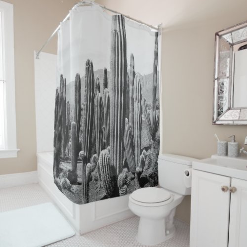 Cactus Oasis 2 wall decor art Shower Curtain