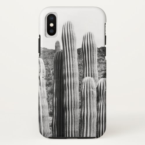 Cactus Oasis 4 wall decor art  iPhone X Case