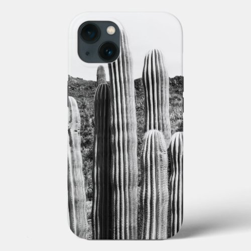 Cactus Oasis 4 wall decor art  iPhone 13 Case