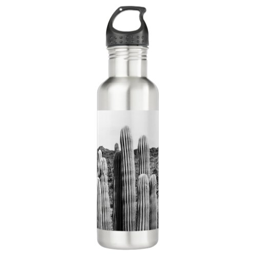 Cactus Oasis 4 wall decor art  Stainless Steel Water Bottle