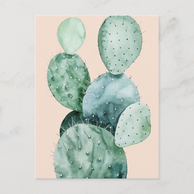 Cactus on Coral Postcard (Front)