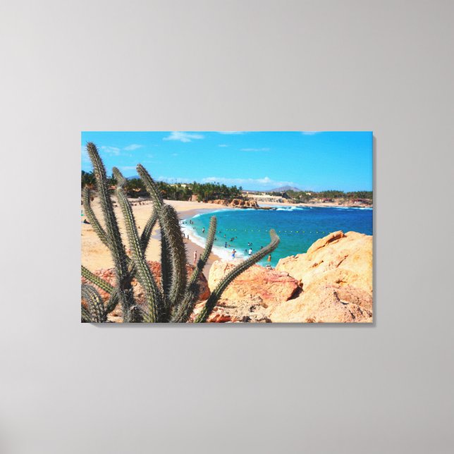 Cactus On Rocky Hilltop Over Sandy Beach Canvas Print (Front)