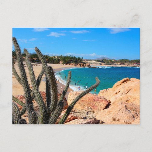 Cactus On Rocky Hilltop Over Sandy Beach Postcard