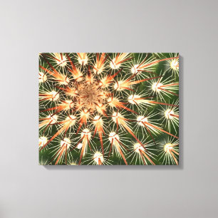 Cactus orange and white spines   canvas print