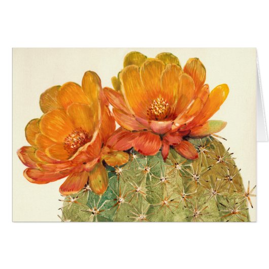 Cactus Orange Blossoms Cards (Front Horizontal)