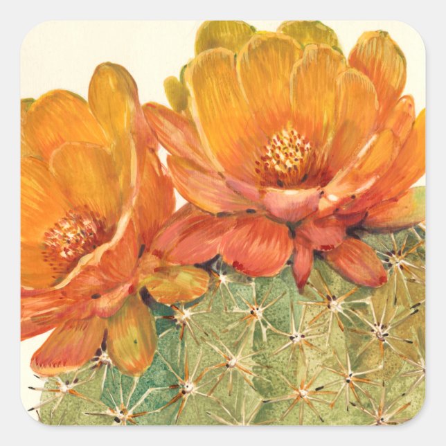 Cactus Orange Blossoms Square Sticker (Front)