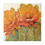 Cactus Orange Blossoms Tile<br><div class="desc">Cactus Orange Blossoms  Artist: Tim OToole</div>