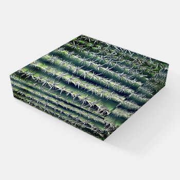 Cactus Paperweight by MarblesPictures at Zazzle