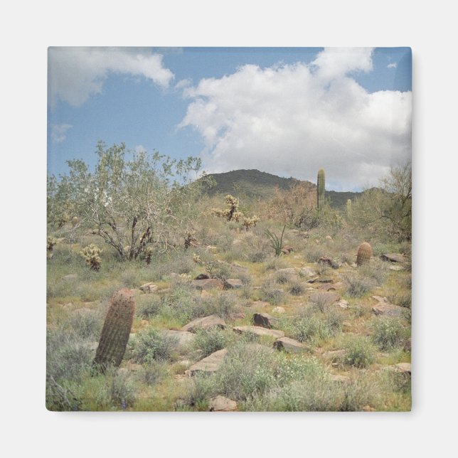 Cactus Pastoral Decorative Refrigerator Magnet (Front)