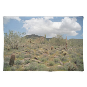 Cactus Pastoral Sonoran Desert Photo Placemat