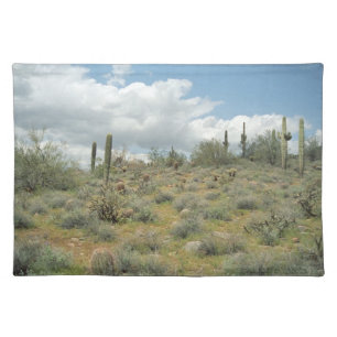 Cactus Pastoral Sweep Desert Photo Placemat