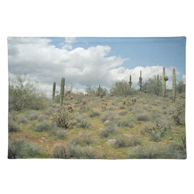 Cactus Pastoral Sweep Desert Photo Placemat (Front)