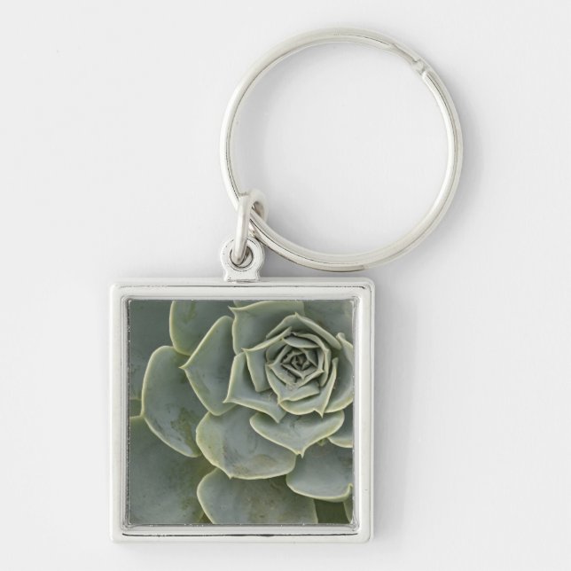 Cactus pattern keychain (Front)