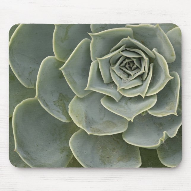 Cactus pattern mouse pad (Front)