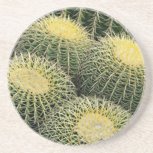 Cactus Pattern Sandstone Coaster (Front)