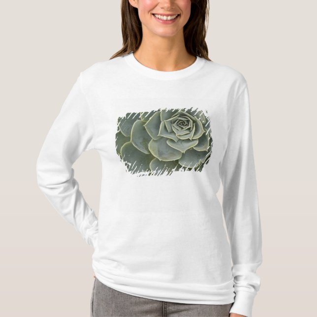 Cactus pattern T-Shirt (Front)