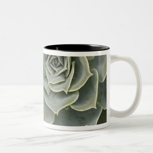 Cactus pattern Two-Tone coffee mug (Right)