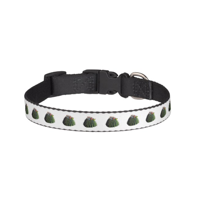 Cactus Pet Collar (Front)