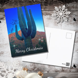 Cactus Photo Desert Southwest Christmas Holiday Postcard