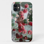 Cactus photo iPhone SE + iPhone 5/5S iPhone 11 Case