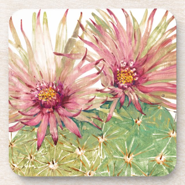 Cactus Pink Blossoms Beverage Coaster (Front)