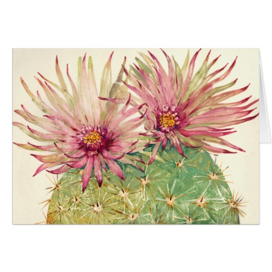 Cactus Pink Blossoms Cards (Front Horizontal)